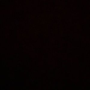 Meet your Posher, Jasahnia